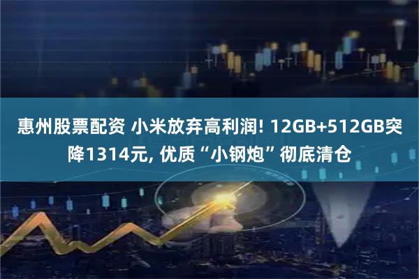 惠州股票配资 小米放弃高利润! 12GB+512GB突降1314元, 优质“小钢炮”彻底清仓