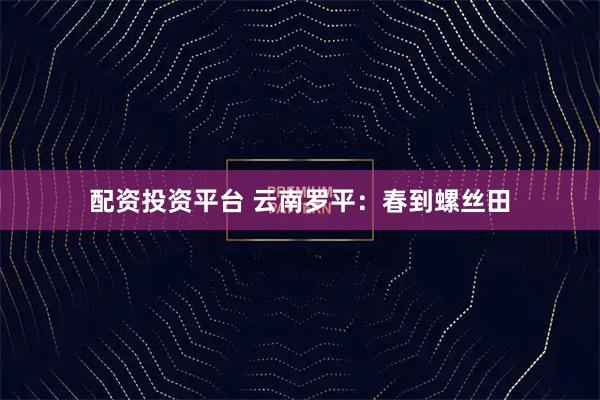 配资投资平台 云南罗平：春到螺丝田